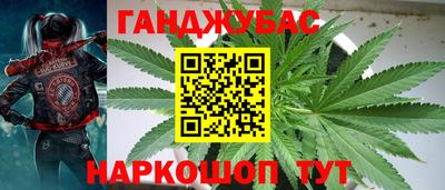 индика Беслан