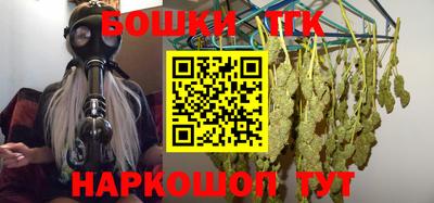 индика Беслан