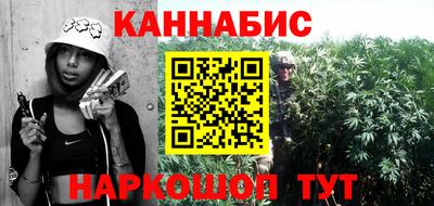 индика Беслан