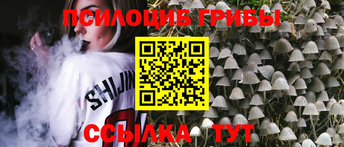 Псилоцибиновые грибы Magic Shrooms  Псилоцибиновые грибы мухоморы  Вход с VPN  Вязники 