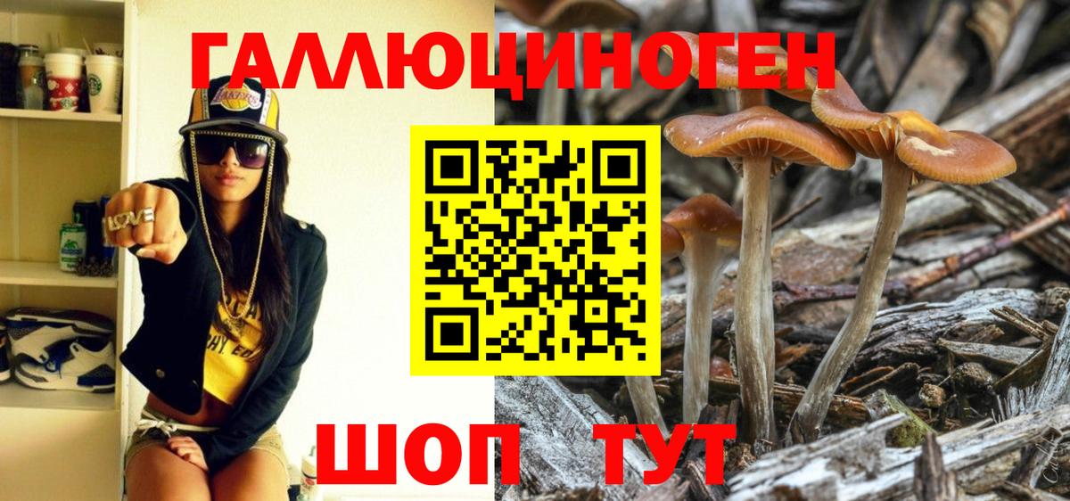 Псилоцибиновые грибы Magic Shrooms Вязники